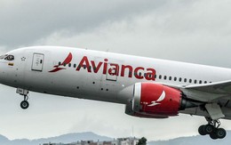 Tìm thấy 2 thi thể trong gầm máy bay của một hãng hàng không Colombia