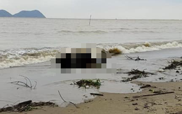 Phát hiện thi thể người phụ nữ mặc áo đi lễ chùa trôi dạt vào bờ biển ở Hà Tĩnh