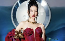Vì sao Bùi Quỳnh Hoa vắng mặt tại chung kết Miss Earth Vietnam 2023?