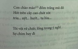 Thêm một bài thơ trong SGK lớp 6 trở thành tâm điểm tranh cãi: 'Triu… uýt… huýt… tu hìu…' là gì?