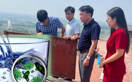 Sử dụng nguồn nước nhiễm vi khuẩn E.coli nguy hiểm như thế nào?