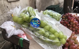 Loại trái chỉ quý tộc mới mua giá hàng triệu đồng/kg, vì sao bày ở chợ dân sinh, chỉ bán được vài chục ngàn đồng?