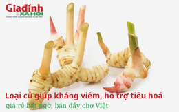 Loại củ giúp kháng viêm, hỗ trợ tiêu hoá, giá rẻ bất ngờ, bán đầy chợ Việt