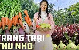 Khu vườn rộng 300m2 sum suê rau trái, mùa nào thức nấy, tươi tốt um tùm của mẹ đảm 4 con ở Quảng Ninh