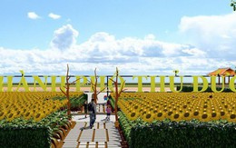TP Hồ Chí Minh: Công bố phối cảnh cánh đồng hoa bờ sông Sài Gòn