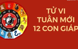 Tử vi tuần mới từ 25/12 - 31/12: 7 con giáp này cần tập trung để bước sang một năm mới rực rỡ