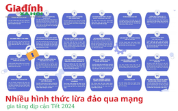 Nhiều hình thức lừa đảo qua mạng gia tăng dịp Tết Nguyên đán 