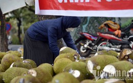 Nông sản ùn ùn sang Trung Quốc, giá nhiều loại trái cây tăng dựng đứng