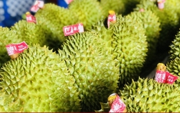 Vì sao giá sầu riêng lao dốc sau khi đắt kỷ lục?