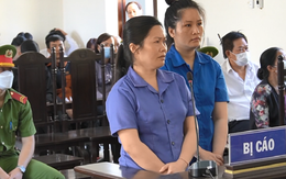 Lừa đảo 29,5 tỉ đồng, chị chồng và em dâu trả giá đắt
