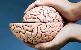 Khi não bắt đầu "teo lại", cơ thể có 4 dấu hiệu không thể giấu giếm