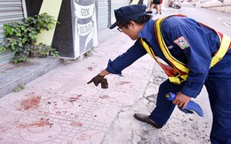 Vụ du khách nước ngoài bị chó cắn: Nha Trang xử lý tình trạng chó thả rông