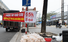 Sự thật đằng sau chiêu ‘giải cứu’ trứng gà giá siêu rẻ bán tràn lan vỉa hè Hà Nội
