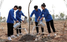 Hà Nội: Trồng hơn 1.000 cây xanh, mục tiêu đến 2050, phát thải ròng phải giảm bằng '0'