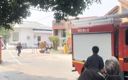 Cháy xưởng gỗ ở TP.HCM, sơ tán nhiều công nhân