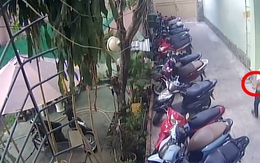 TP Hồ Chí Minh: Đi ô tô xông vào phòng trọ cướp máy tính xách tay