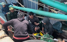 Ngư dân nguy kịch do dây tời đánh vào đầu khi đánh cá trên biển