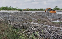 Video: Hiện trường diện tích lớn rừng ngập mặn ở Thừa Thiên Huế bị san lấp 'do sơ suất'