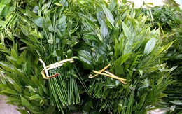 Rau rừng rủ nhau xuống chợ Thủ đô, có loại 180 nghìn/kg vẫn không đủ bán