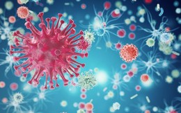 Loại virus truyền bệnh nguy hiểm có thể sống 6 giờ trên quần áo
