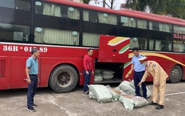 Vận chuyển gần 500kg lòng lợn sấy khô ẩm mốc, chảy nước bốc mùi hôi thối về Quảng Ninh bán kiếm lời, tài xế Thanh Hóa nhận kết đắng