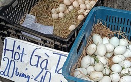 Chuyện lạ: Trứng gà ta rẻ hơn trứng gà công nghiệp