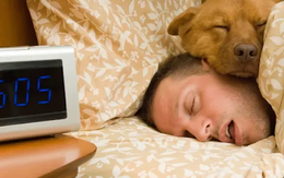 Con người có thể cần ngủ nhiều hơn vào mùa đông