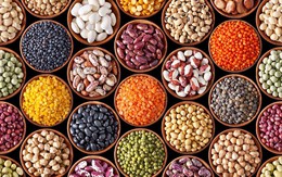 10 loại hạt vừa ngon vừa rẻ này giúp thải độc cơ thể, đẹp da, giảm cân vì giàu chất xơ