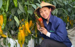 Chốt gần 1.000 đơn trong 15 phút nhờ bán trái lạ Đà Lạt