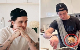 Brooklyn Beckham bị bóc mẽ khi làm đầu bếp: Để lẫn nút chai trong nồi thịt?