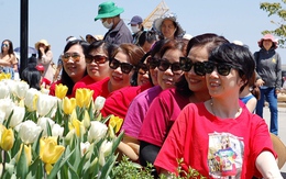 Hàng nghìn người đội nắng đổ về vườn hoa tulip trên núi Bà Đen