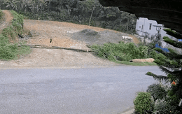 Video: Khoảnh khắc người phụ nữ ngã văng xuống đường vì đâm phải chó thả rông