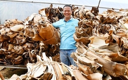 Mo cau cả làng vứt vạ vật, nay thành hàng sang xuất Mỹ, Canada