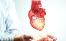 5 thực phẩm lành mạnh nên ăn để bảo vệ trái tim khỏe mạnh