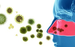 Nhận biết các bệnh lý nhiễm trùng đường hô hấp trên và cách phòng ngừa