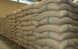 Một mặt hàng của Việt Nam được người Nga cực kỳ ưa chuộng, xuất khẩu tăng đột biến hơn 400% trong tháng 3