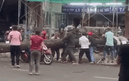 Video: Người dân xúm lại giải cứu người phụ nữ bị cây xanh đổ đè 