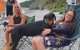 Chủ bị bệnh hiểm nghèo nhưng vừa dẫn chó đến bãi biển thì liền được cứu sống