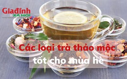 Các loại trà thảo mộc tốt cho mùa hè