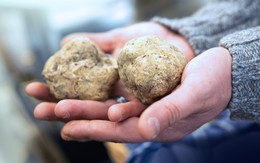 Quốc gia này sở hữu hàng loạt ‘cây vàng’ dưới lòng đất: Giá có lúc lên tới hàng tỷ đồng/kg, giới thượng lưu Mỹ, Trung săn lùng ráo riết