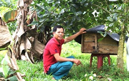 Cha con hợp sức làm giàu, biến quả đồi, hố bom thành trang trại hữu cơ