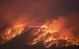 Rừng ở Đà Lạt cháy đỏ rực trong đêm