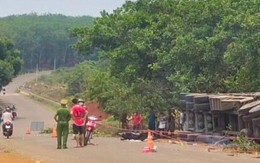 Hai bà cháu bị xe container tông tử vong