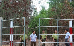 Thêm 15km hàng rào điện bảo vệ đàn voi hoang dã ở Đồng Nai