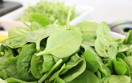 Bí quyết khỏe đẹp với 7 thực phẩm giàu vitamin E