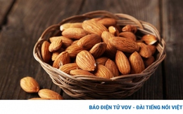 Những loại thực phẩm chứa nhiều vitamin E bạn nên bổ sung hằng ngày