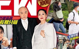 Trương Vệ Kiện có con ngoài giá thú với nhân tình, sau nhiều lần vợ bị sảy thai?