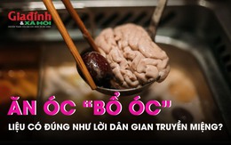 Ăn óc động vật có bổ não như dân gian truyền miệng?