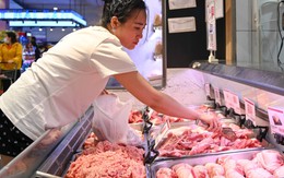 'Sáng gieo chiều gặt', trung gian 'ăn dày' lãi đậm, người nuôi rơi lệ gánh lỗ