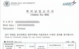 Bạn đã biết Invoice du học Hàn là gì hay chưa?